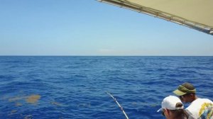 Доминикана! Рыбалка на марлина!