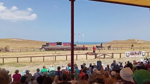 Джигитовка 3 августа 2024 в Атамани