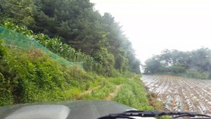 Kia retona offroad in korea