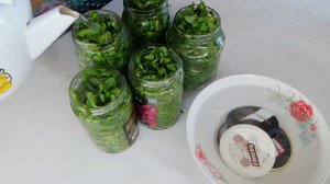 ЩАВЕЛЬ НА ЗИМУ