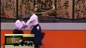АЙКИДО ДЖУ ВАЗА МИТЦУГИ САОТОМЭ