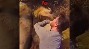 Животные тоже умеют любить. Animals can love too.