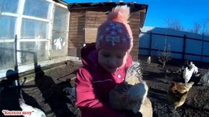 Даша и друзья