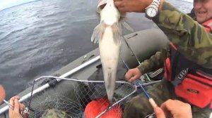 И снова отдых и рыбалка на Ладоге 20 июля 2019