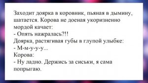 Почему ты закрылся от меня? Лучшие анекдоты. Смешные анекдоты. Веселые анекдоты. Смех. Досуг.