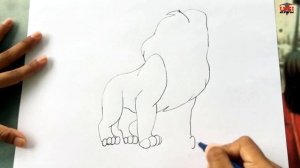 How to Draw Simba The Lion King | Easy Simba Drawing Step by Step