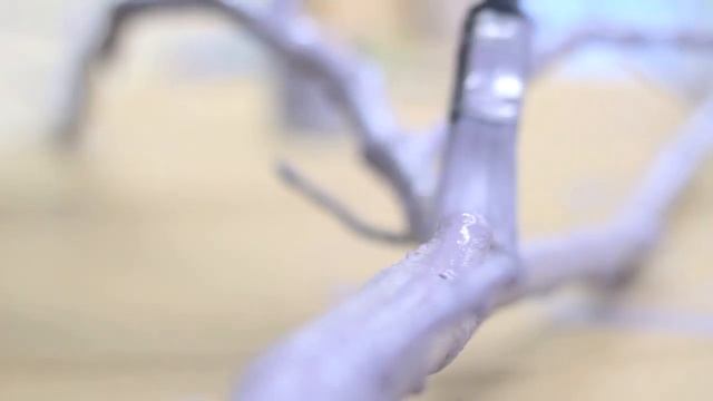 Christmas Crafts: Alternative Christmas Tree