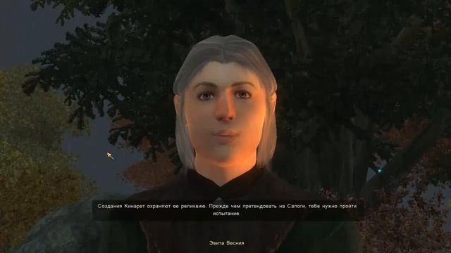 Oblivion: "Рыцари девяти" полное прохождение.
