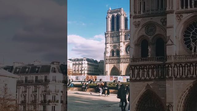 #france #shots The Notre Dame Cathedral still in construction. Paris