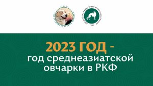 2023 – год среднеазиатской овчарки в РКФ
