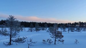 Зимняя рыбалка на забытых богом таежных озерах Архангельской области