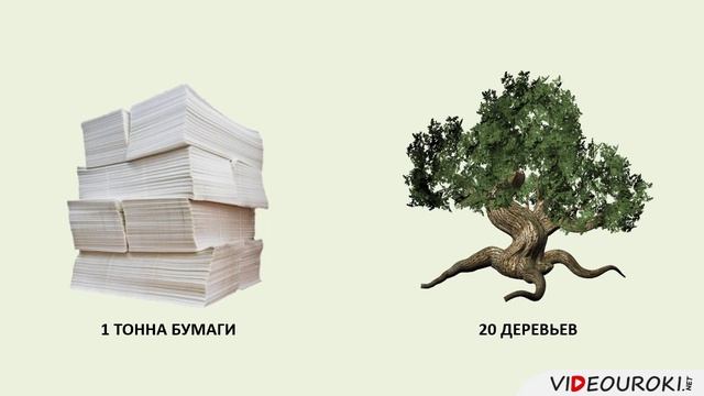 24. Лесная и деревообрабатывающая промышленность