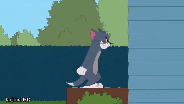 Tom va Jerry | Uzbek tilida 2022 смотреть онлайн