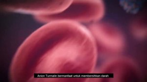 Celana Terapi Khusus Pria K Man | Celana Terapi Ejakulasi Dini | Original Produk PT K link Indonesi