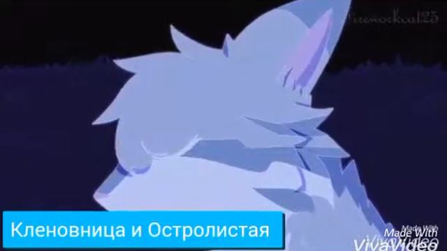 Коты Воители Крутобок и Серебрянка