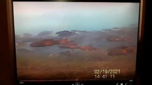 Ангара ХАРИУС