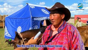 Баян нуур хурд 2016. Завхан аймгийн Сантмаргаз сум