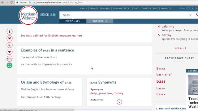 bass 英语单词 смотреть онлайн