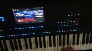 Korg Pa4x Piano Sampler on Medeli AKX10