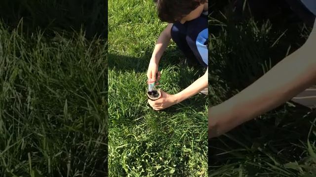 Делаем опыт (что будет если в кока-колу добавить соль?-сейчас покажем!!!? смотреть онлайн