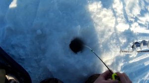 Ловля окуня зимой на мормышку, мотыля / Зимняя рыбалка на окуня / Окунь на мормышку - выпуск №7