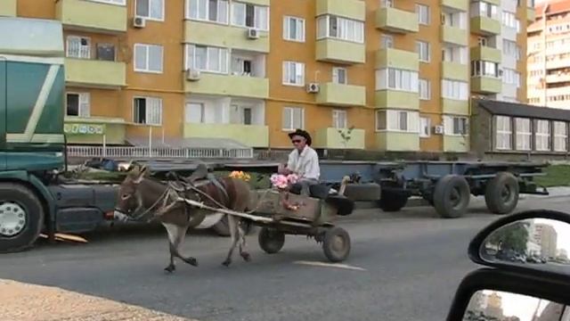 Экологически чистый транспорт