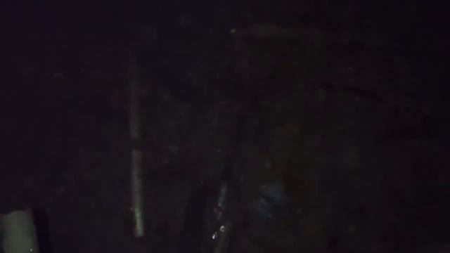 ПОСТРОИЛИ ДОМИК НА ДЕРЕВЕ (ЧАСТЬ 2) смотреть онлайн