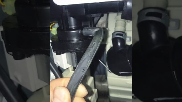 ✅ Устранил всемирный потоп? смотреть онлайн