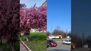 Терновка,Днепропетровской обл.Украина