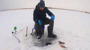 КЛЁВАЯ РЫБАЛКА в черте города. #клеваярыбалка #югра #зимняярыбалка