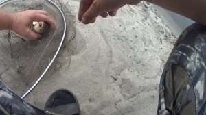 Рыбалка на Дону Воронежская обл.  Прияр.