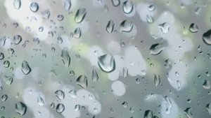 ОЦИФРОВКА С ОЛИМПА 004