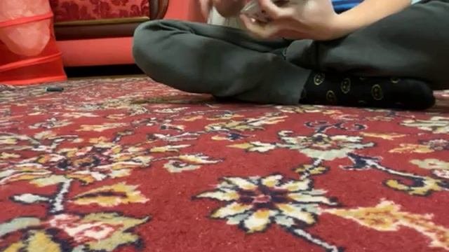 Подкидывание карт