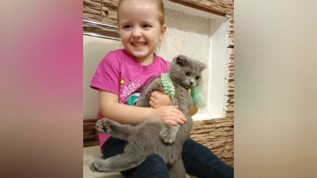 День защиты животных смотреть онлайн