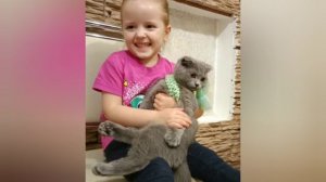 День защиты животных