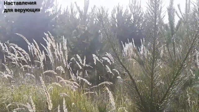 Недостойные качества мужчин. Ислам. Наставления для верующих. смотреть онлайн