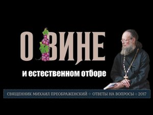 Вино - польза и вред