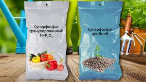 Вытяжка из простого суперфосфата. Раствор суперфосфата. Внекорневая подкормка  суперфосфатом.