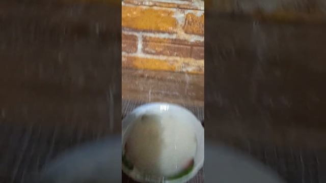 подготовка паст из глин Кембрийская и узбекский каолин смотреть онлайн