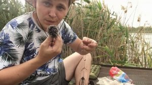 Рыбалка в Краснодарском крае. Тимашёвский район.Рыбалка 2021.