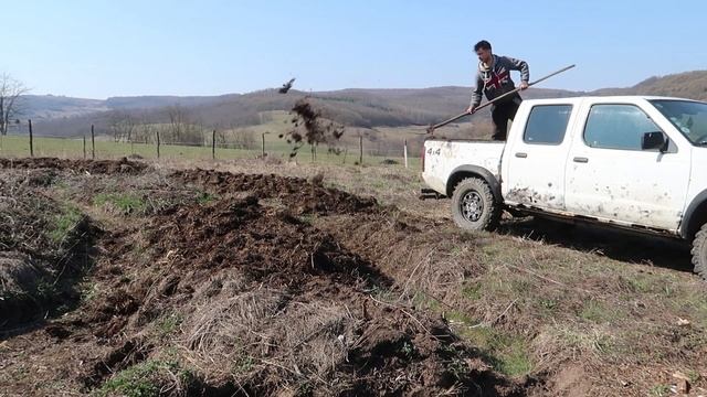 Food Forest #6 Juglans regia and grafting | PERMACULTURE | SUSTAINABLE LIVING | AGRICULTURĂ NATURAL смотреть онлайн