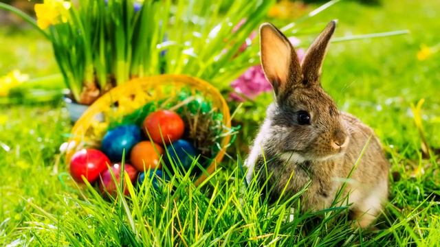 Relaxing Easter Music - The Easter Bunny 882  Beautiful Spring Soothing