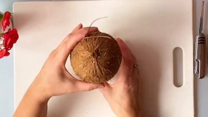 Как открыть кокос ?