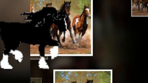 Кони... кони