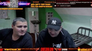 Копилка от бубона , мопс фан, сися в гостях