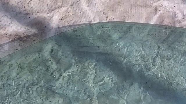 Стекло Ситроен Ксара купэ Citroen Xsara смотреть онлайн