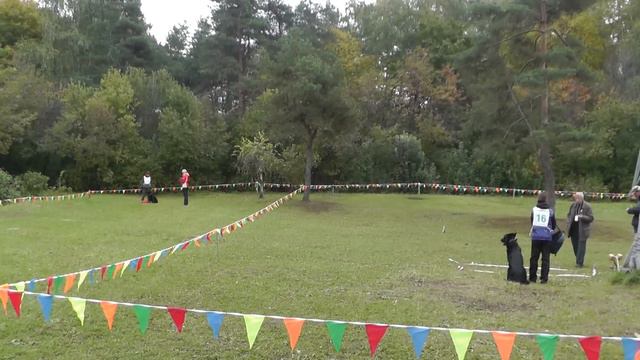 "Путёвка в жизнь" 05.10.2013. смотреть онлайн