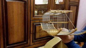 Покупка западка для ловли певчих птиц – щегла, чижика и т. д.