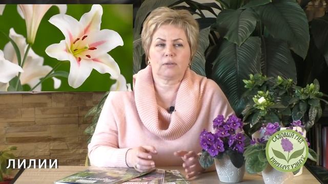 ВАШ САД БУДЕТ ЛУЧШИМ! АРОМАТИЗАЦИЯ САДА - ОСНОВНЫЕ ПРАВИЛА!
