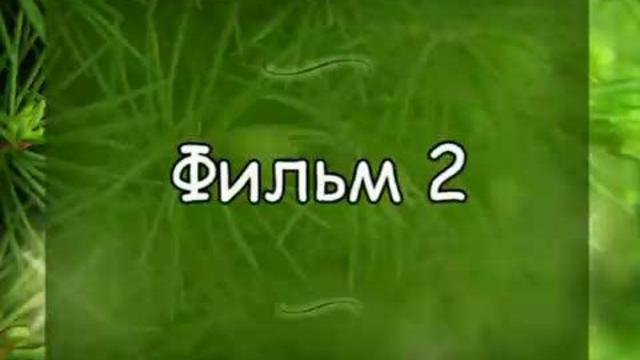 Записки новичка